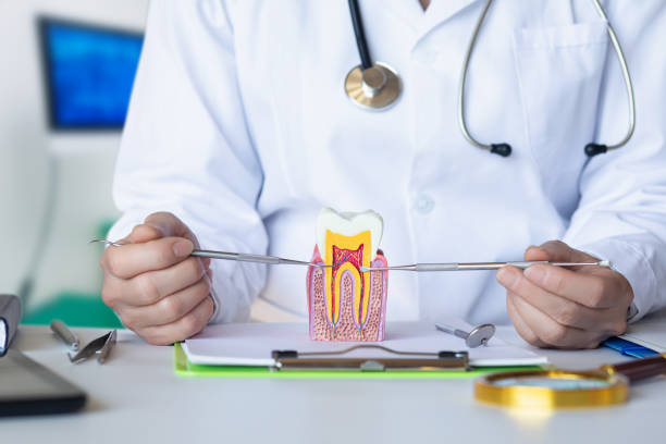 Best Knocked-Out Tooth (Avulsed Tooth) Treatment in Grand Marais, MN